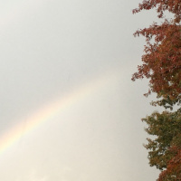 Appreciate  Affirm Yourselves