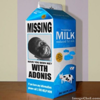 Episode 15// Tick Tick Tick