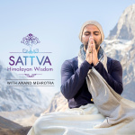 Sattva Radical Wisdom With Anand Mehrotra