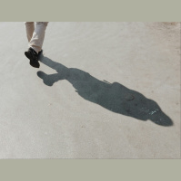 Récit dune promenade extraordinaire
