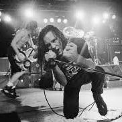 Name Two Bands With Andy And Andy