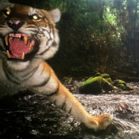 LOS DE GIRON LIVE SET ( EXCLUSIVE MU$$$IC 2017-2023 )