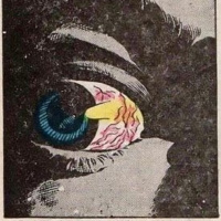 Los archivos de Micronesia: Lista 2013 discos