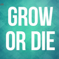 Ep 13: Pushing beyond the comfort level of your own knowledge