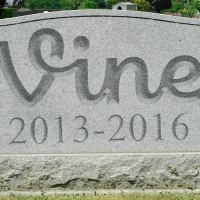 Ep12: Don’t Let Your Marketing End Up Like Vine
