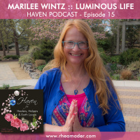 Marilee Wintz: Luminous Life (E15)