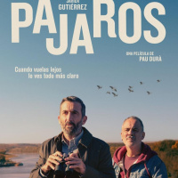 8x31 - Matusalén + Pájaros + Entrevista Pau Durà + Galgos + Todo sobre mi madre