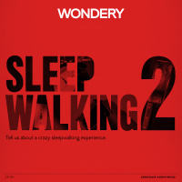 Armchair Anonymous: Sleepwalking II