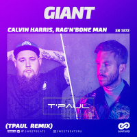 Calvin Harris, RagnBone Man - Giant (TPaul Radio Edit)