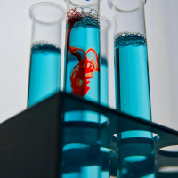 New research findings with Luke ONeill