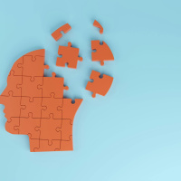 The dementia virtual simulator