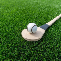 All-Ireland hurling final top the bill for sport this weekend