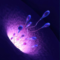 The Man with 1000 kids