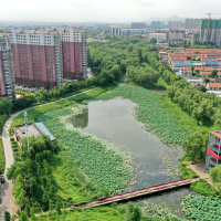 Gardening advice with Diarmuid Gavin