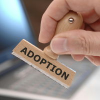 The work of the Adoption Authority of Ireland