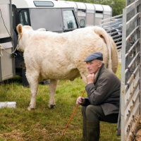  The Story of Succession in the Irish Farming Industry
