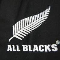 Gordan Darcy previews Ireland v New Zealand in the Aviva stadiu,