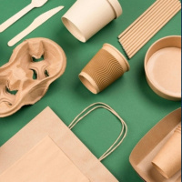 What is the plastic free July campaign?