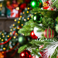 Festival hotel breaks on offer this Christmas season