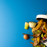 Irish consumers waste €832 worth of food annually