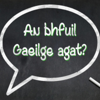 Learning Irish in a way that is fun with Mollie Guidera
