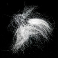 Is there even any money to be made from wool?