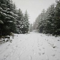 A status yellow weather warning remains in place for the entire country