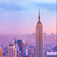 Who is in the running for New York Mayor?