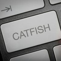 Catfishing the psychological dynamics and the impacts