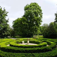 Garden stories with Diarmuid Gavin