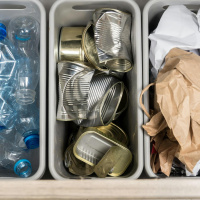 Which waste into what bin?