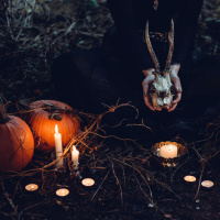 O’Connell Street lined with spectators for a Halloween parade that didnt exist