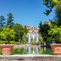 Garden stories with Diarmuid Gavin