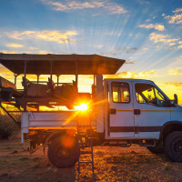 A safari is a bucket list holiday