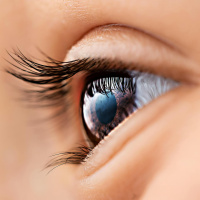 The science of sleep!