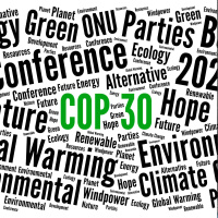  No major polluters present at COP30