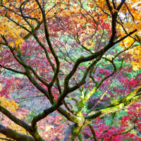 Autumn gardening tips and advice!