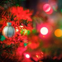 Navigating Christmas for the newly alone or single 