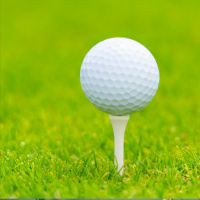 How the Open competition was established!