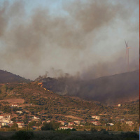 Wildfires in Greece causes devastation in the region
