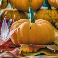 Friday Food with Gareth Mullins