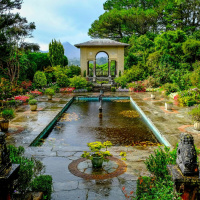 Garden stories with Diarmuid Gavin