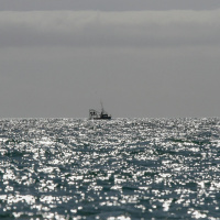 Ireland has no representative on fisheries committee