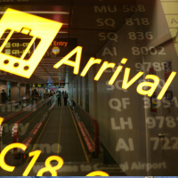 Increased penalties for carriers who fail to check for proper travel documentation