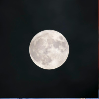 Plans to solve species extinction by preserving cells on the moon!