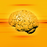 Science with Luke ONeill: Genetic screen for IQ