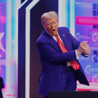 Trump Vs The Judicial System