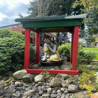 Can You Live Like Buddha?