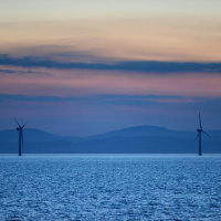 Will Wicklows wildlife survive the windfarm?