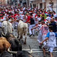 Sports: A insight into the famous bullfights and festival in Pamplona